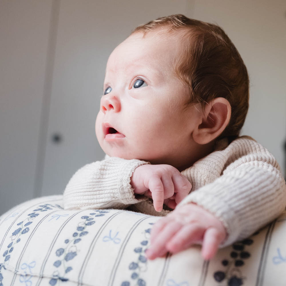 Moon nursing pillow - Sateen - Bell flower