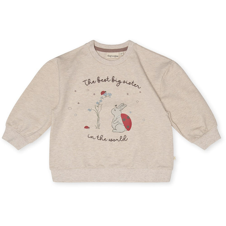 That's Mine Finley big sister sweatshirt - Light brown melange - 95% Organic cotton / 5% Elastane Buy Tøj||Skjorter & toppe||Sweatshirts||Nyheder||Alle||Forår & sommer '24 here.