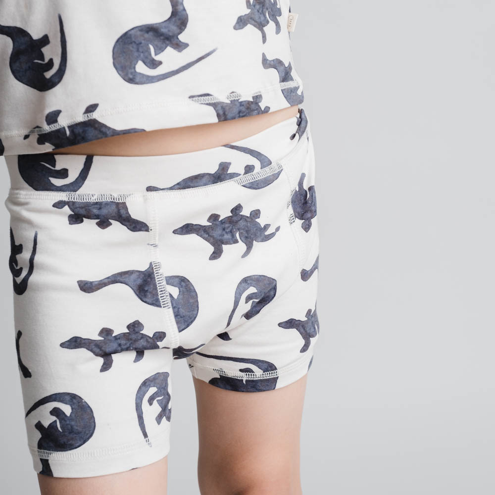 Ebbe boxershorts 2-pack - Mono dino