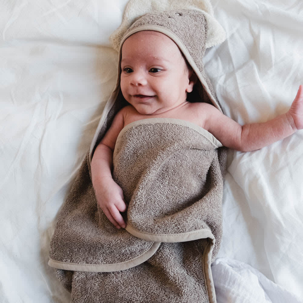 Moly towel swaddle - Dino