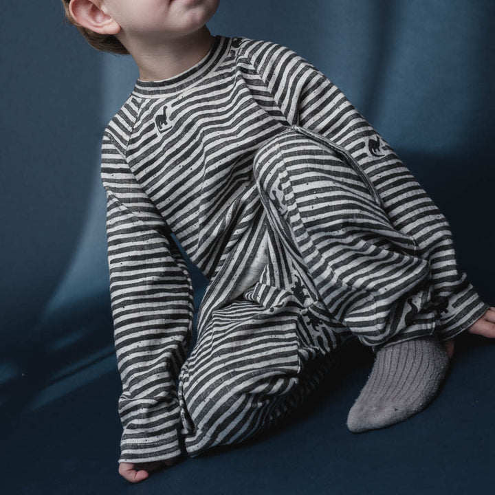 Aksel t-shirt - Mono dino stripe