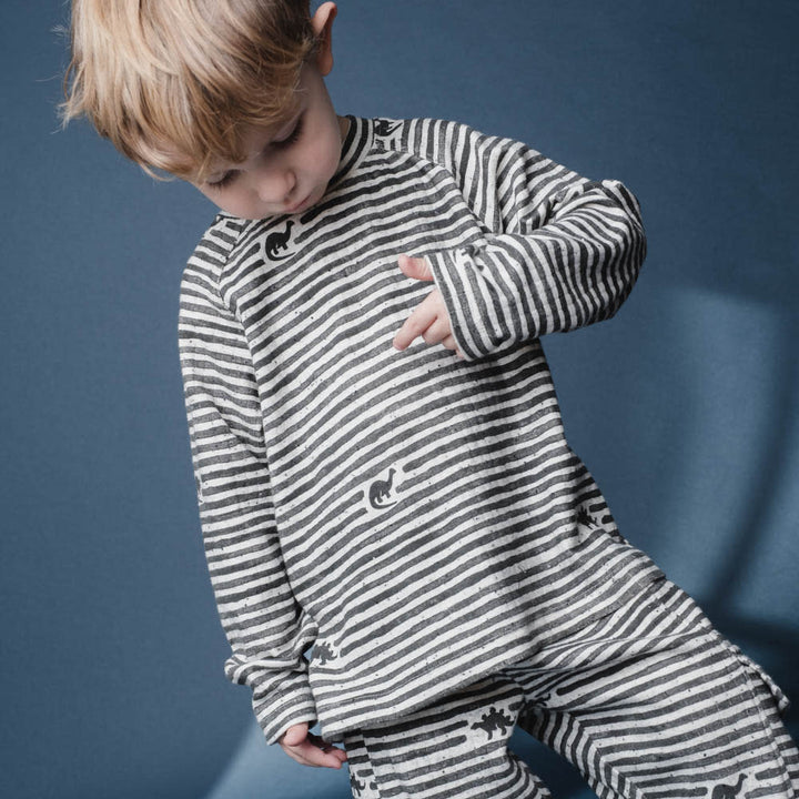 Aksel t-shirt - Mono dino stripe